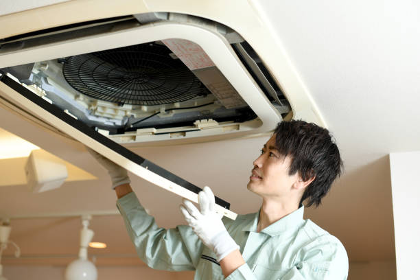 Best Air Vent Cleaning Services  in Los Luceros, NM